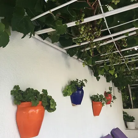 Kamil Ξενοδοχείο 3*